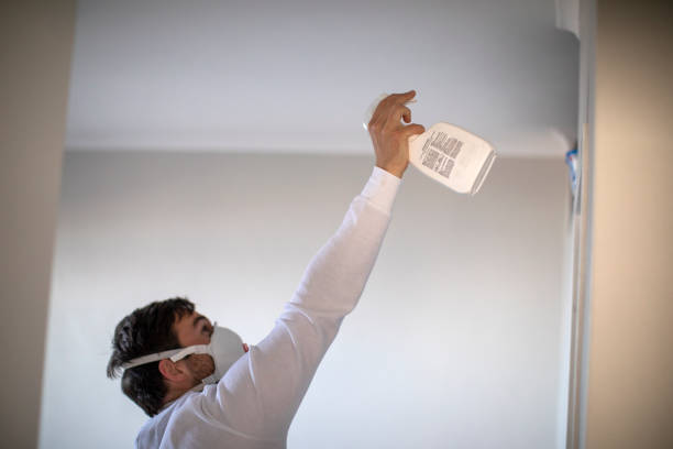 Best Mold Remediation for Schools in Burr Ridge, IL