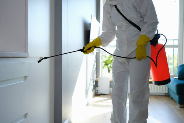 Best Localized Mold Remediation (e.g., coastal areas, humid climates) in Burr Ridge, IL