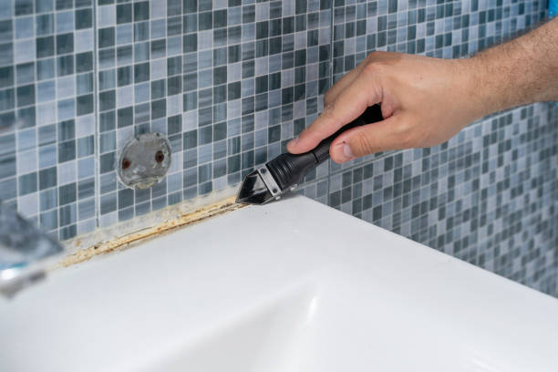  Burr Ridge, IL Mold Removal Pros