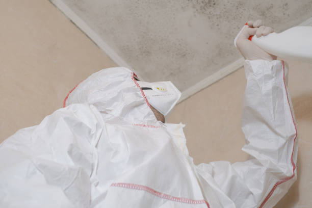 Best HVAC Mold Remediation in Burr Ridge, IL